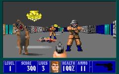 une photo d'Ã©cran de Wolfenstein 3D (PC) sur PC